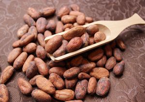 Cacao Nuts