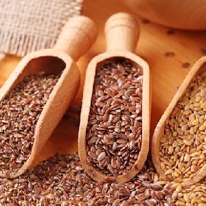 Flaxseed seeds Manufacturer in Malaysia by Royal Green Land Trading ...