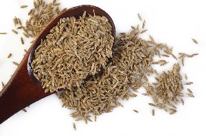 Cumin Seeds, Certification : FSSAI Certified