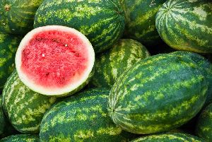 Hybrid Watermelon