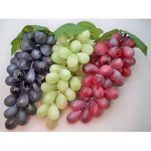 Fresh Organic Grapes
