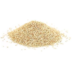 Hybrid Quinoa Seeds