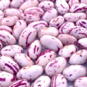 Pinto Or Mottled Beans