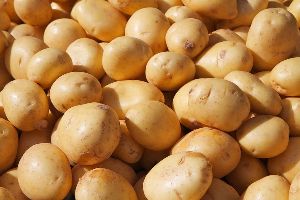 302 Potato