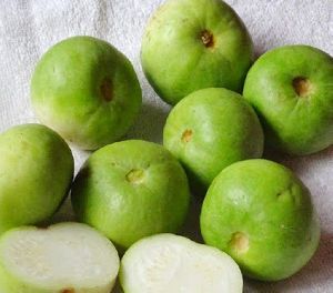 Fresh Apple Gourd