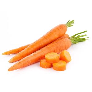 Fresh Carrot