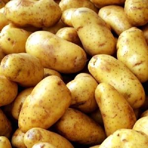 Pushkar Potato