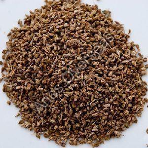 Carom Seeds - Manufacturers, Suppliers & Exporters in India