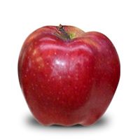 Red Chief Apple