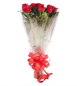 Eternal Love-10 Red Rose
