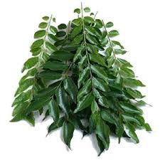 Fresh Neem Leaves