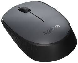 Logitech M170 Black Wireless Optical Mouse