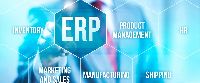 ERP Application Development Services