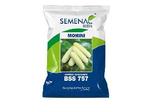 BSS 645 Hybrid Cucumber Seeds