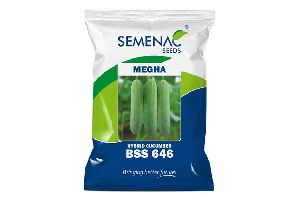 BSS 646 Hybrid Cucumber Seeds