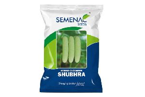 Cucumber - Shubhra
