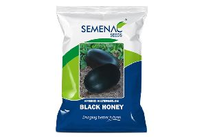 Hybrid Black Honey Watermelon Seeds