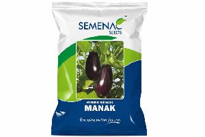 Hybrid Brinjal Manak Seeds