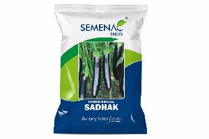 Hybrid Brinjal Sadhak Seeds