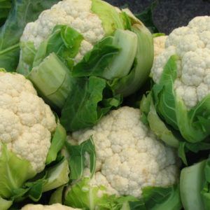 fresh cauliflower