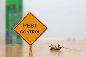 Pest Control Gel Treatment