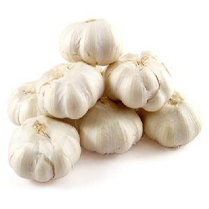 Organic Fresh Garlic, Packaging Type : Gunny Bags