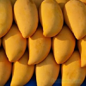 Alphanso Mango