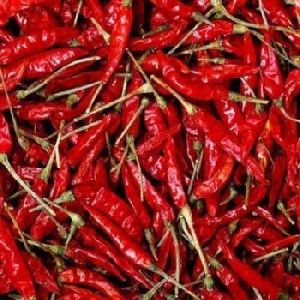 S-4/S-334 Sannam Chilli