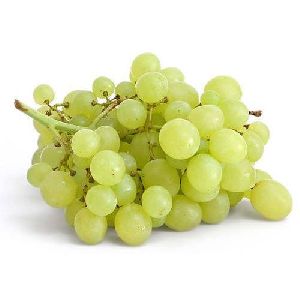 fresh green grapes