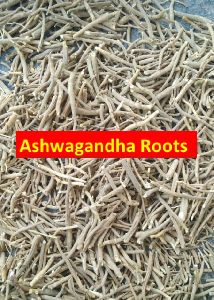Ashawagandha Roots