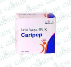 ayurvedic proprietary medicine - CARIPEP