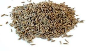 cumin seed