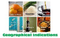 Geographical Indication Service