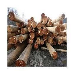 Wooden Timber Logs