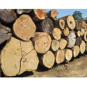 Timber Wood Log,timber wood log