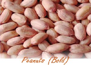 Peanut Bold