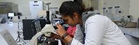 B.Tech in Biotechnology Engineering Course