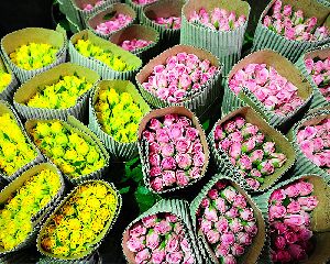 Flower Wrapping Corrugated Paper