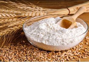 Ukraine Wheat Flour