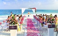 Luxury Wedding Planner Services