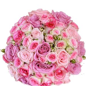 Pink Paradise Roses Bouquet