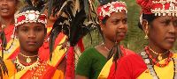 Odisha (Orissa) &amp; Chhatisgarh Tribal Tours