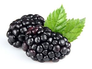 Fresh Natural Blackberry