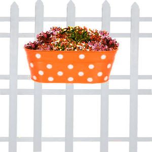double hook dotted Oval railing planters (orange)