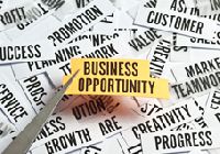 Business Opertunity Services