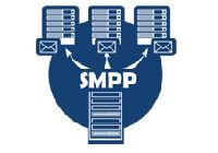 SMPP Server Installation Services