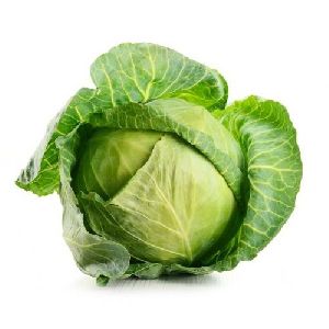 Fresh Organic Cabbage