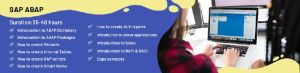 SAP ABAP Training Course SAP ABAP Training Course