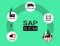 SAP SCM Training Course
