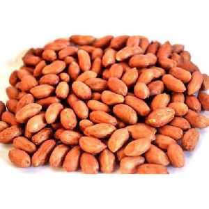 Dried Peanut Seeds